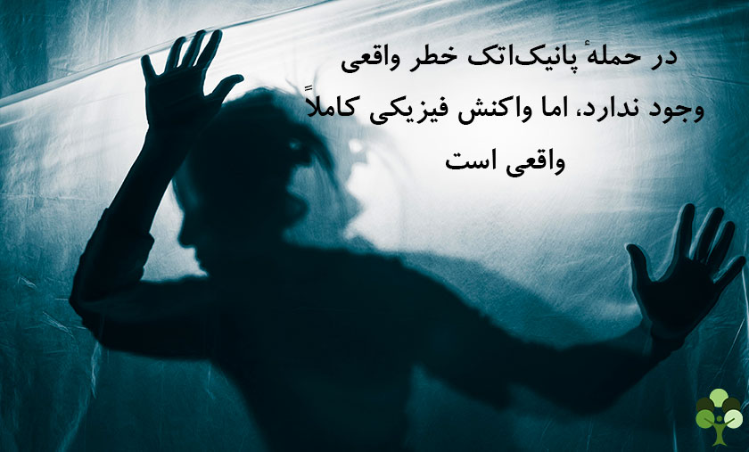 عکس نوشته درباره اینکه در حمله پانیک اتک خطر واقعی وجود ندارد اما واکنش فیزیکی کاملا واقعی است 